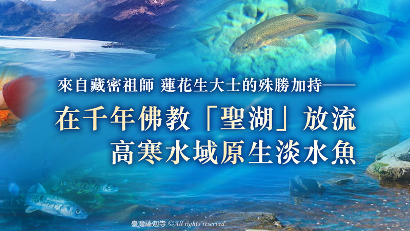 臺灣薩迦寺 2025 億倍功德‧薩嘎達瓦月 藏區巴松措湖 護生保育